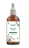 Сыродавленное масло кедровое из ореха - кедра сибирского 